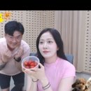 짱구노래나라 이미지