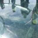 가탄(가수리) 이미지