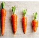 아이눈안경원 이미지