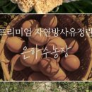 정기농장 이미지