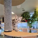 해피주 수원점 이미지