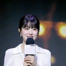 뽀블리 이미지
