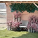 씨유원주이편한점 | 사진 찍기 좋은 강원도 원주 소금빵 맛집 포토존카페 사진정원 상세 후기