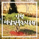 석남완충녹지공원 이미지