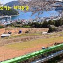 욕지테니스장 이미지