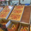 문이농장 이미지