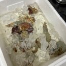 수원 농수산물시장 제철 암꽃게 시세 26.05.16 꽃게구이 일상