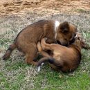 서울88동물의료원 이미지