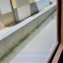 청소업체 이용 후기: 친환경으로 깔끔하게, 믿음직한 서비스가 최고였어요!