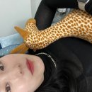 해운대역 1분 해운대뷰티샵, 실력자 원장님이 계신 곳/동그라미뷰티센터 브라질리언왁싱 후기