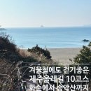 푸른바다와금빛해변2호 | 화순금모래해변에서 송악산까지! 겨울철 걷기좋은 제주올레길 10코스 feat. 사계의시간