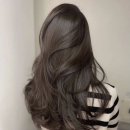 프로디헤어 이미지