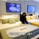 뉴금성 | 금성침대 매트리스 라지킹 헤스티스 직접 보고 온 매장 후기