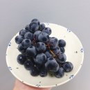 해옹도예미술