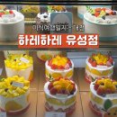 하레하레 | 대전 하레하레 유성점 위치 쌀하레치즈 후기