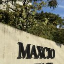 산자락에 | 파주시 _ 산자락에 자리 잡은 듯한, 자연친화적인 힐링 카페 <막스시오지스페이스>