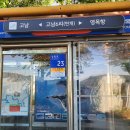 영목항정류소 Daum카페