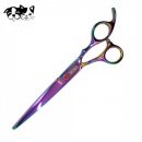 모모 애견미용 이미지