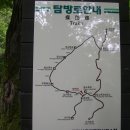 (양양) 남설악 흘림골 . 주전골 산행 - 2023.10/12 이미지