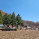 기린초등학교진동분교장 이미지