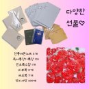 강화여자중학교 이미지