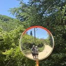 발구덕끝 | 강원도 정선 민둥산 쉬운 코스, 주말 주차, 등산 가방 추천, 준비물 등 꿀팁