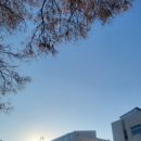 법무법인랜드마크유한 네이버블로그