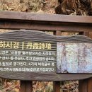 동천6호 Daum카페