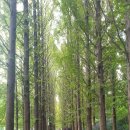 문화소통로 이미지