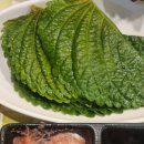 불타는꽃돼지 이미지