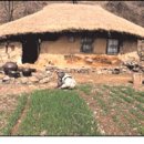 마음농장 이미지