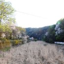 보헤미안펜션 이미지