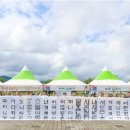 성주로 이미지