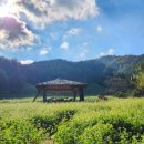 산속의정원 이미지