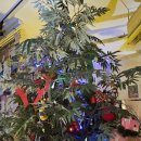 성산포 | 강릉 그리운바다성산포 후기, 삼촌카세에 집밥 안주가 매력적인 술집