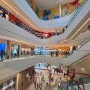 아프리카 펫센터 이미지