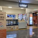 루솔(울산점)