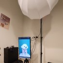 도그캠프 이미지