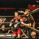 더블 제이 복싱 클럽 이미지