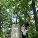 씨유 삼죽삼거리점 | 경기도 안성 블랙야크 알파인클럽 한남정맥 국사봉 등산 코스