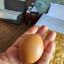 모나리자모텔 이미지