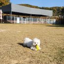 놀다가개유치원 이미지