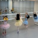 아트스테이무용학원 이미지