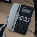 중국어 중급B | OPI 아랍어 AM 후기: Advanced level 공부 방법