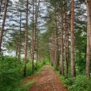 향토민박 이미지