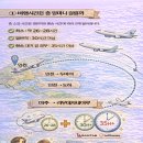 리우항공여행사
