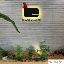 블랙웨일즈(BLACK WHALES)