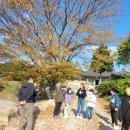 10월 天藏秘氣處 순례(장흥 천관사, 강진 무위사) 이미지