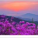 고려산 이미지