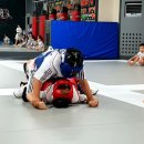 타이거 합기도장 이미지